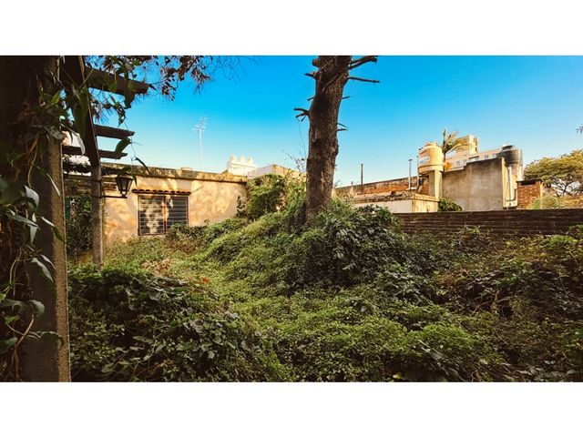 place photo 11