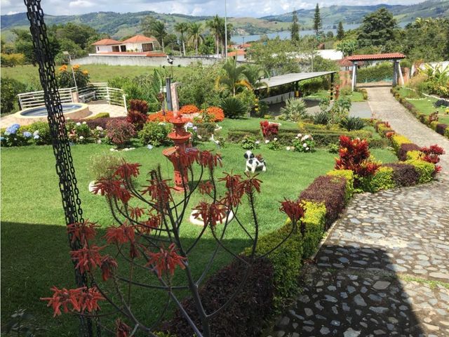 place photo 32