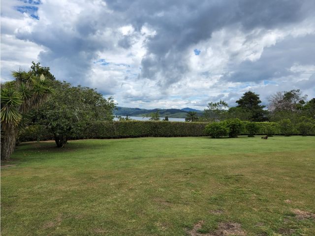 place photo 47