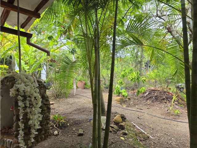 place photo 46