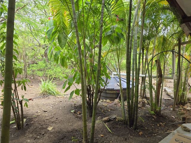 place photo 47