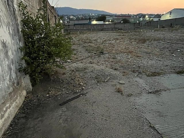 place photo 7