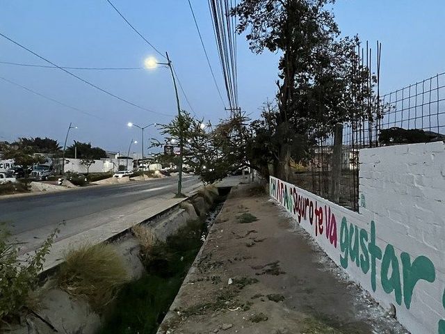 place photo 18