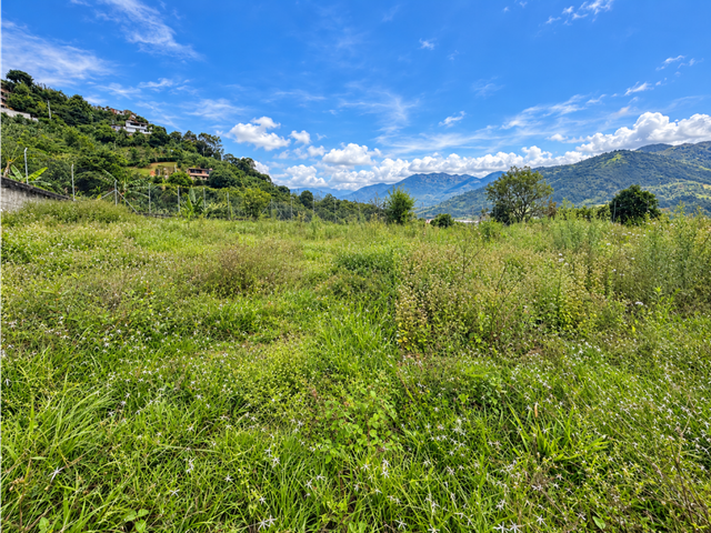 place photo 14