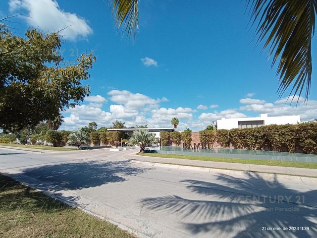 place photo 12