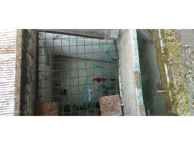 place photo 27