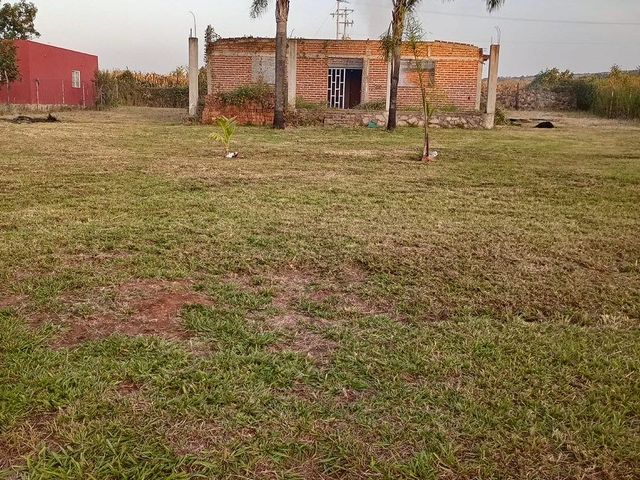 place photo 15