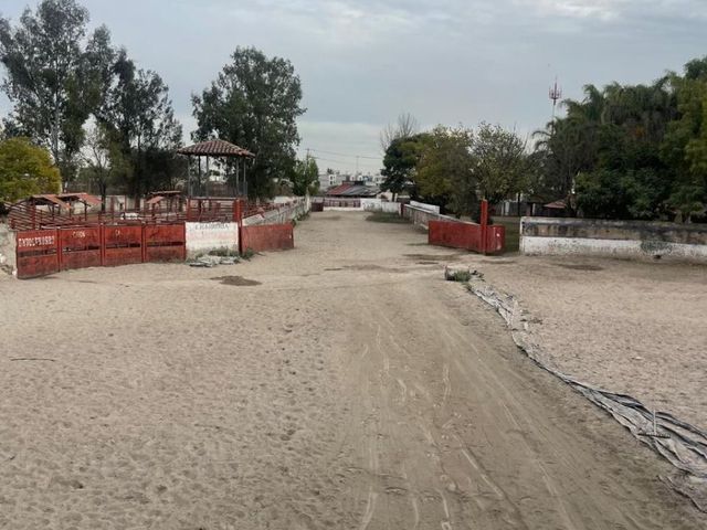 place photo 10