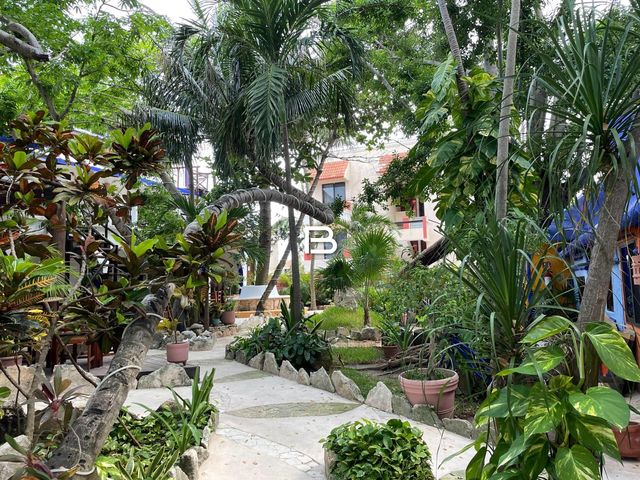 place photo 15