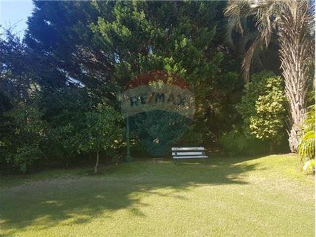 place photo 82