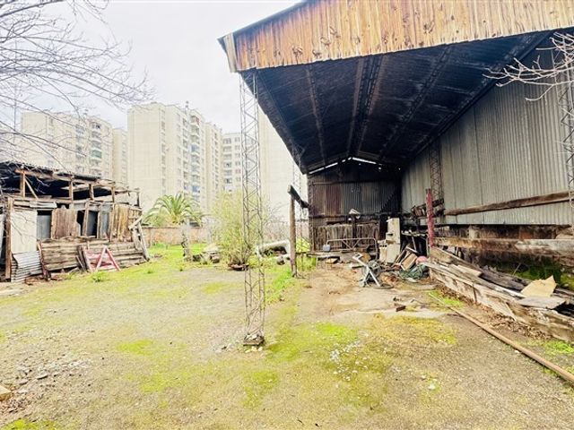 place photo 14