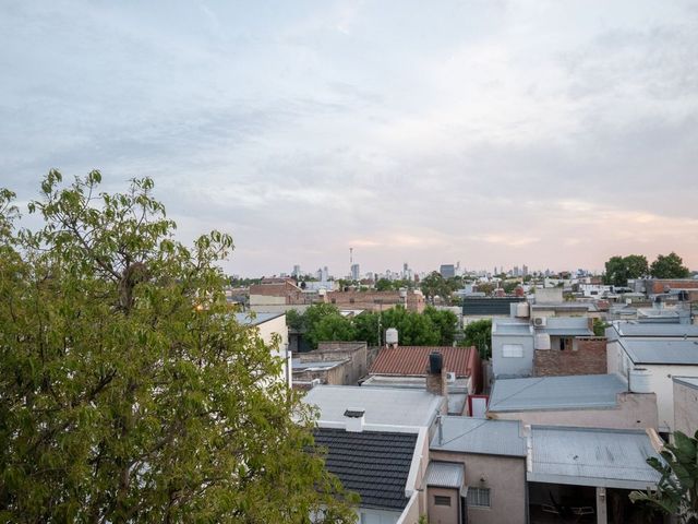 place photo 24