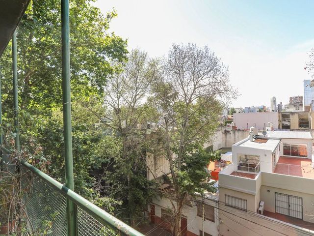place photo 14