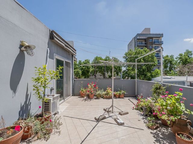 place photo 31