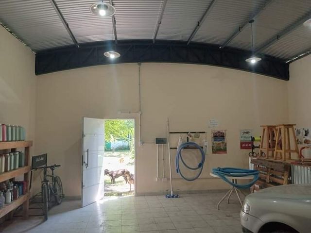 place photo 32