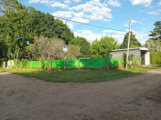 place photo 34
