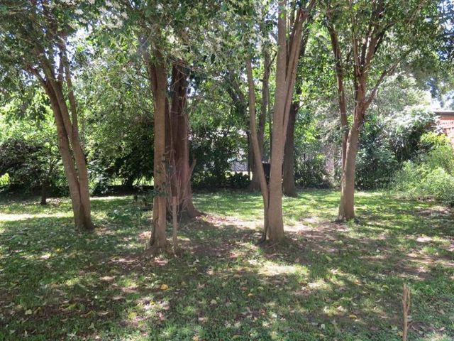 place photo 29