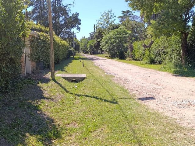 place photo 40