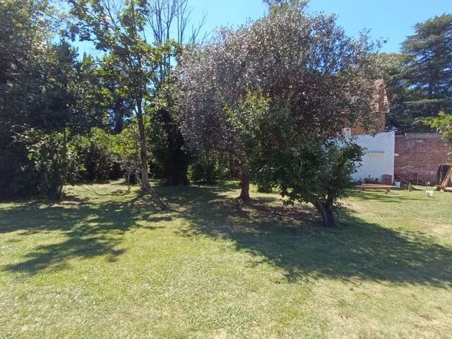 place photo 30