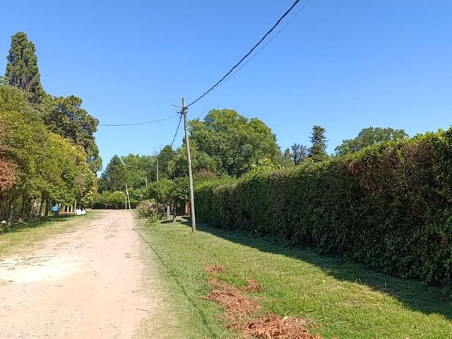 place photo 37