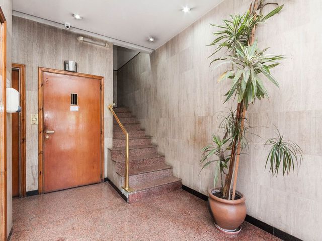 place photo 40
