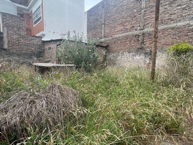 place photo 30
