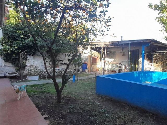 place photo 34