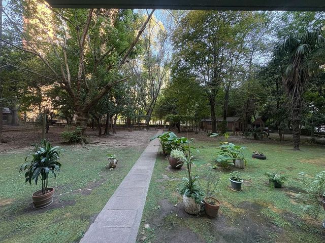 place photo 41