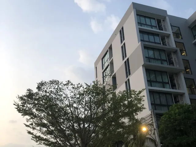place photo 19