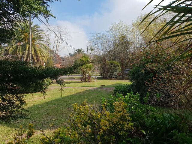 place photo 36