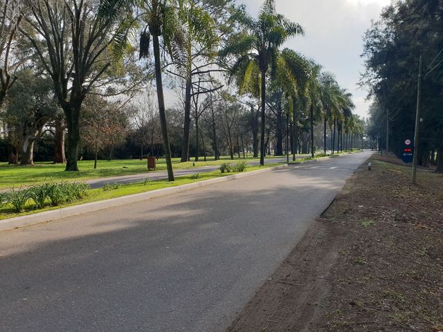 place photo 38