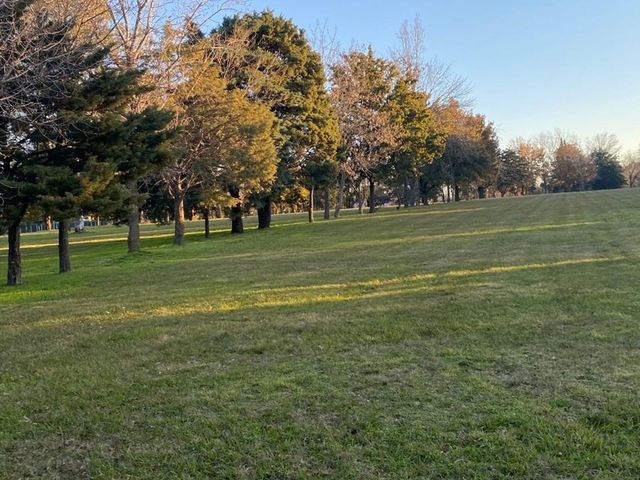 place photo 25
