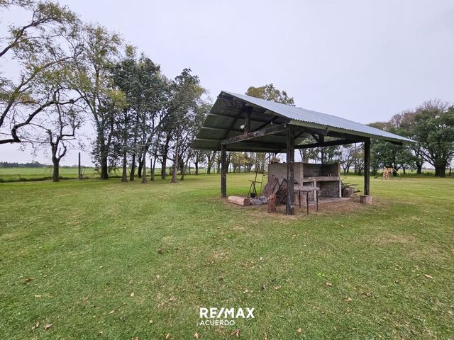 place photo 35