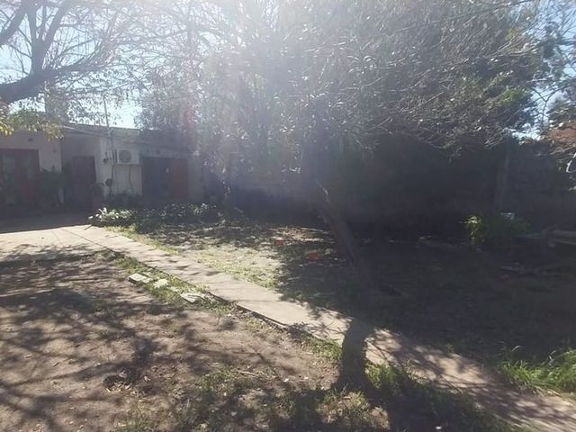 place photo 16