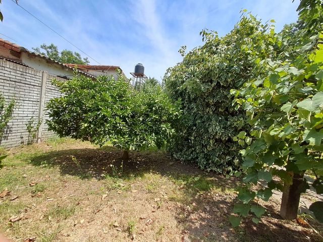 place photo 20