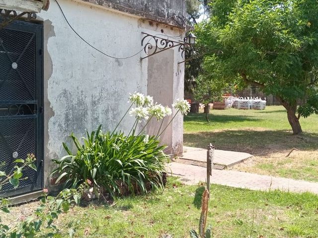 place photo 22