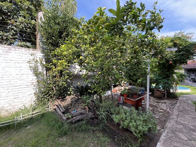place photo 60
