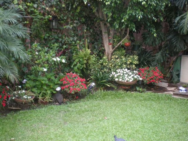 place photo 20