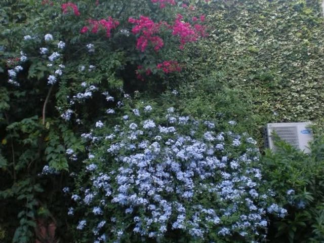 place photo 85