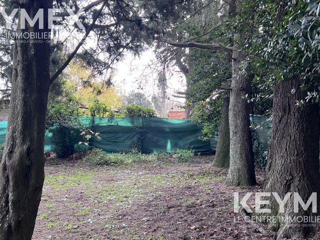 place photo 38