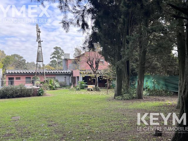 place photo 36
