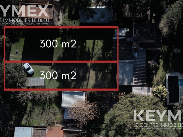 place photo 40