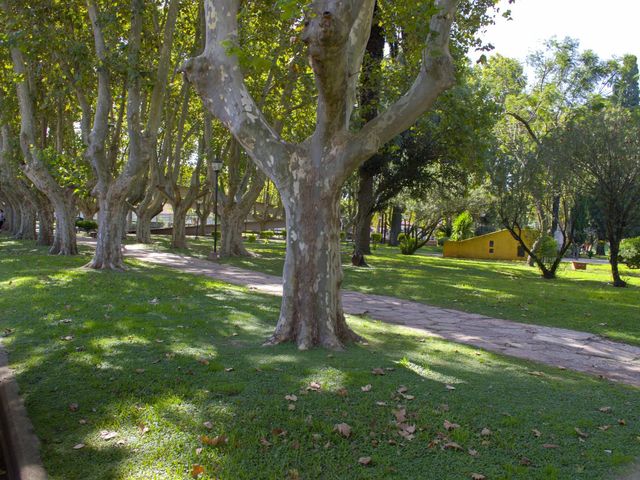 place photo 61