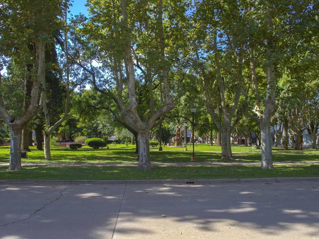 place photo 59
