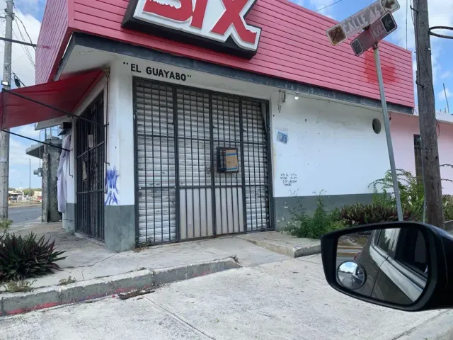place photo 11