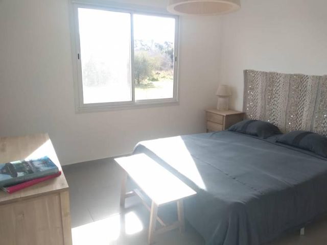 place photo 55