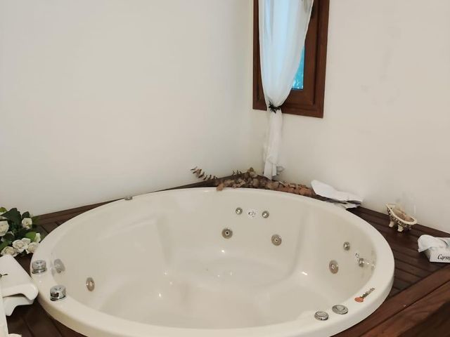 place photo 48