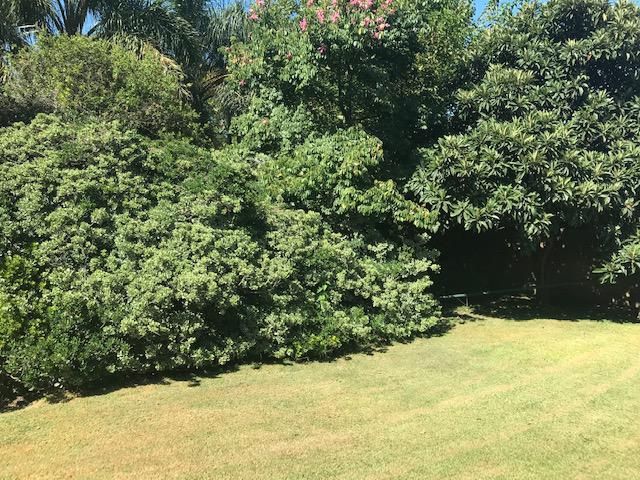 place photo 49