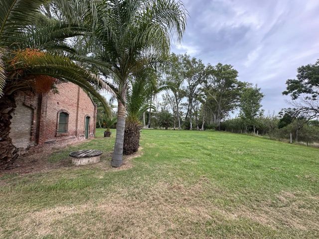 place photo 13