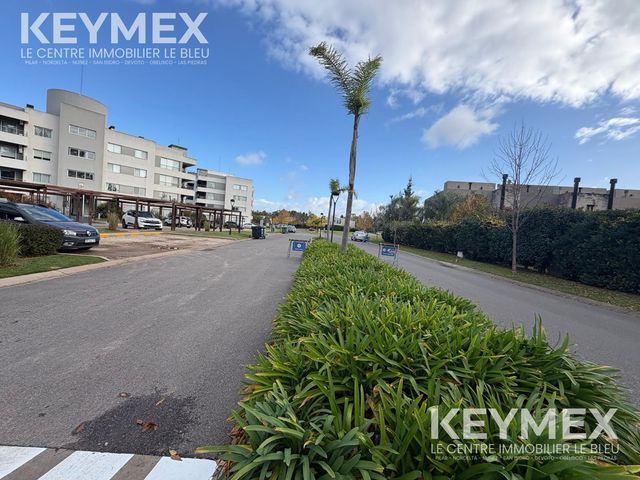 place photo 48